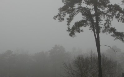 Fog - Marietta, GA - photo - Rich Johnson