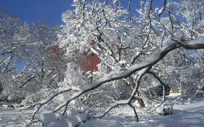 Snow - Washington, D.C 2/2010. courtesy of Paul Kocin